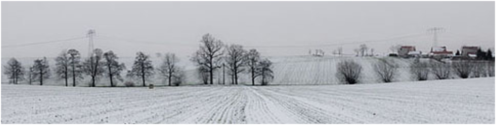 Winterlandschaft