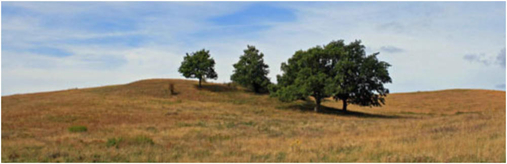 Landschaftspanorama