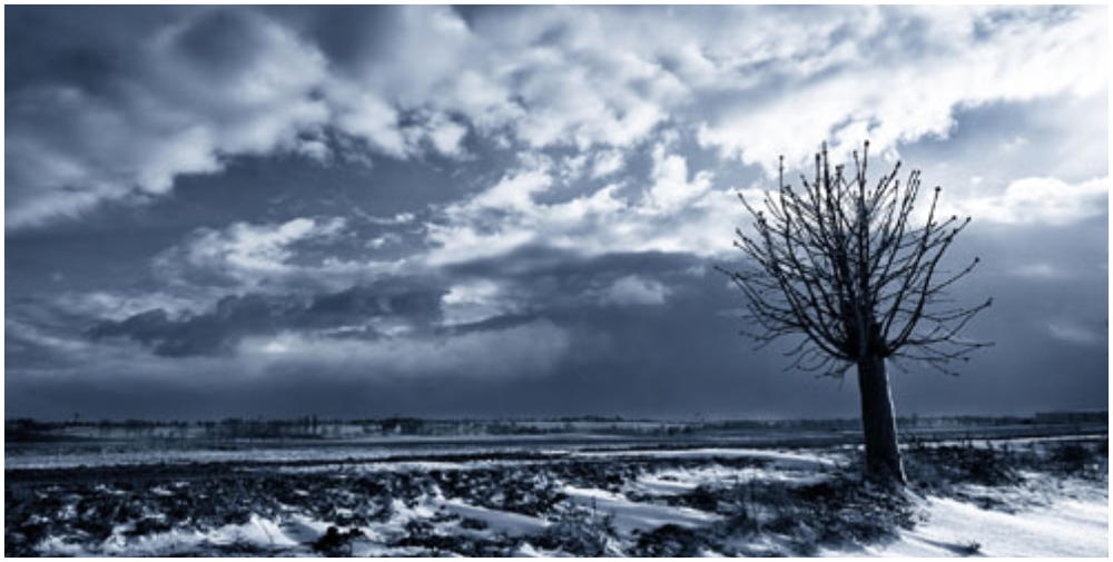 Winterlandschaft
