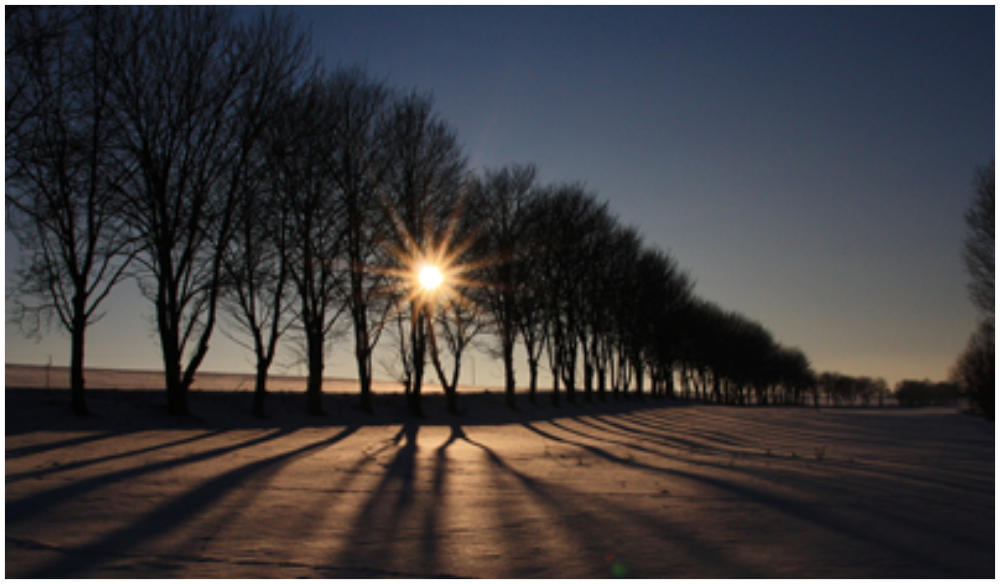 Abendsonne