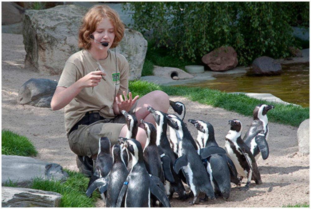 Zoo-Tierpfleger