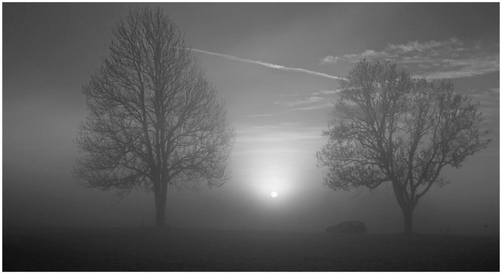 Abendlichtstimmung