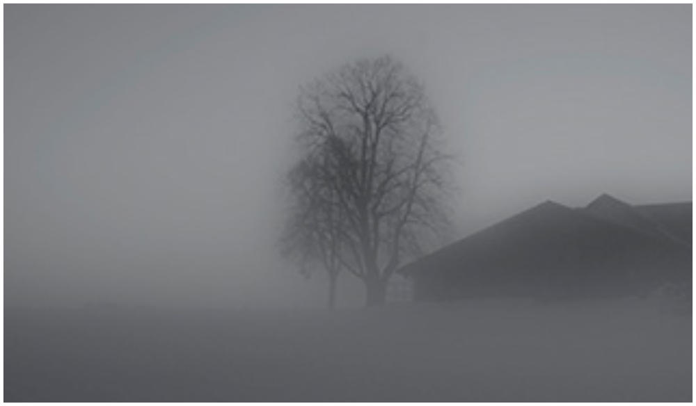 Nebel