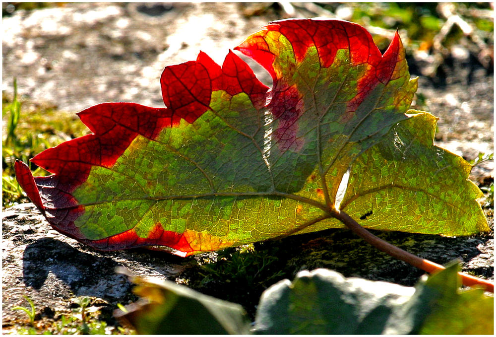 Herbstbeginn