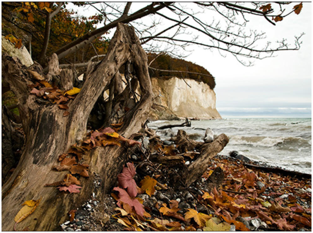 Bilderbuch-Herbst