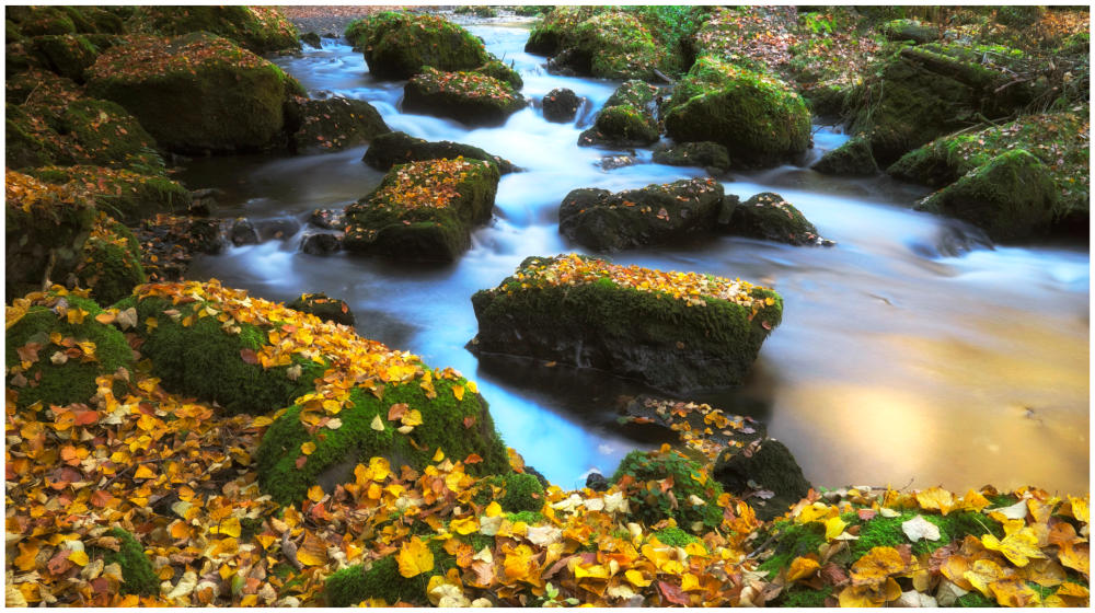 Herbstzeit