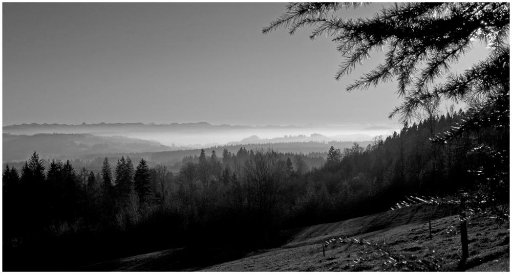 Abendlicht