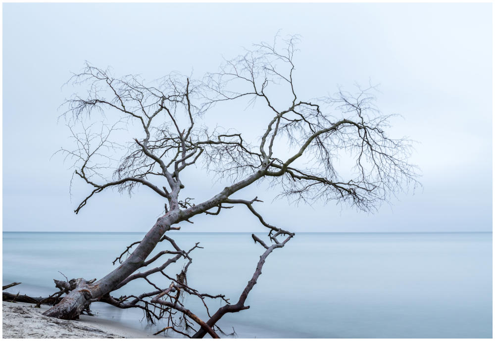 Stille