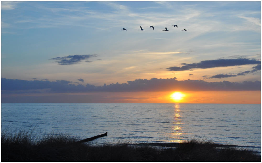 Abendstimmung