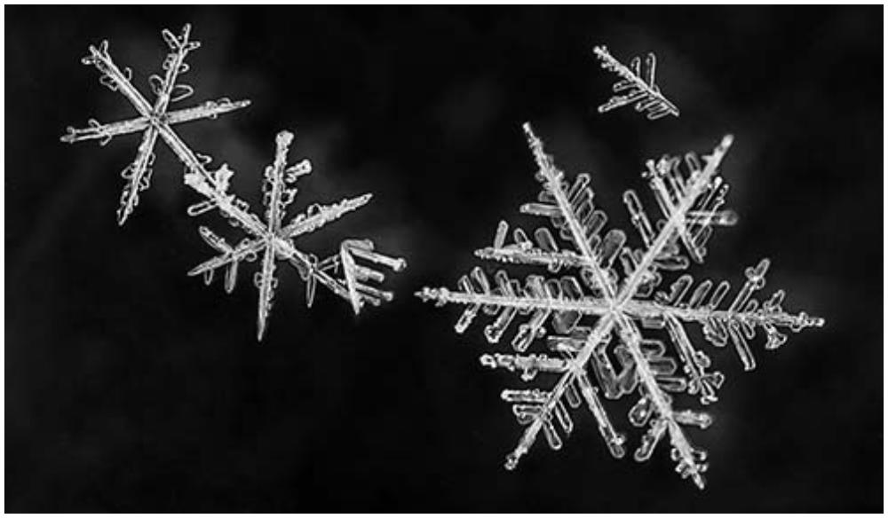 Schneeflöckchen