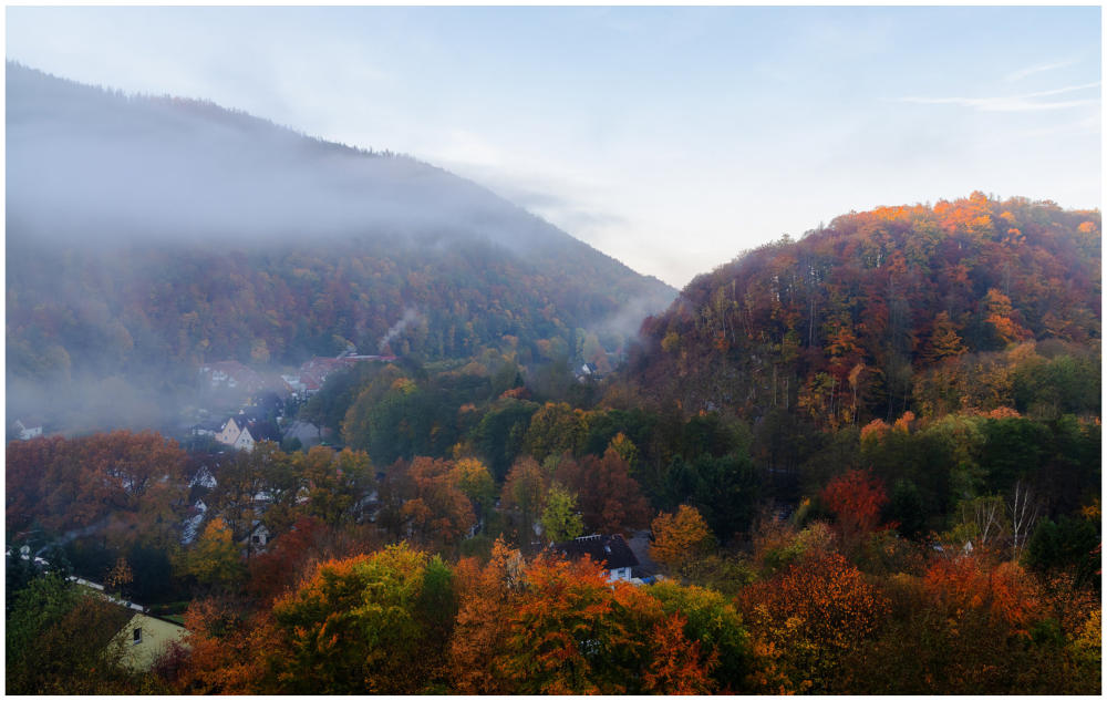 Morgennebel