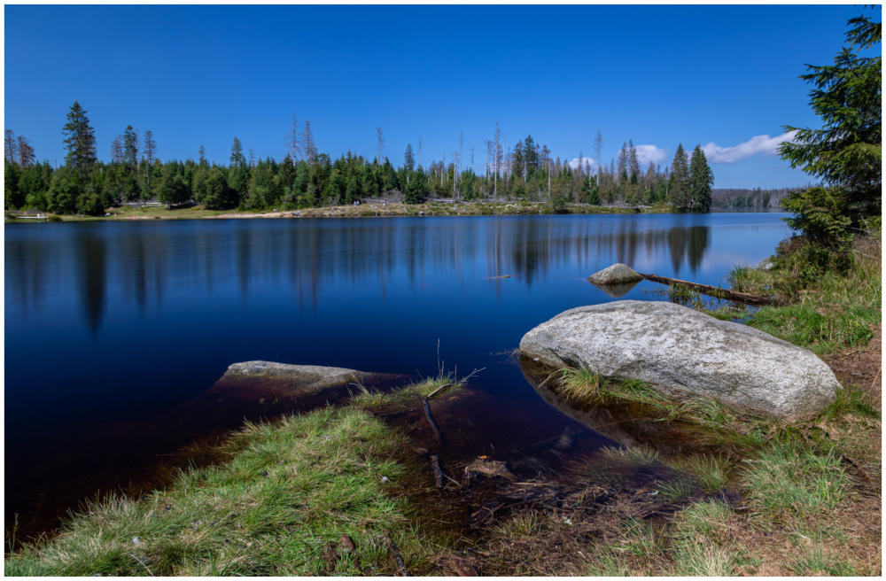 Oderteich