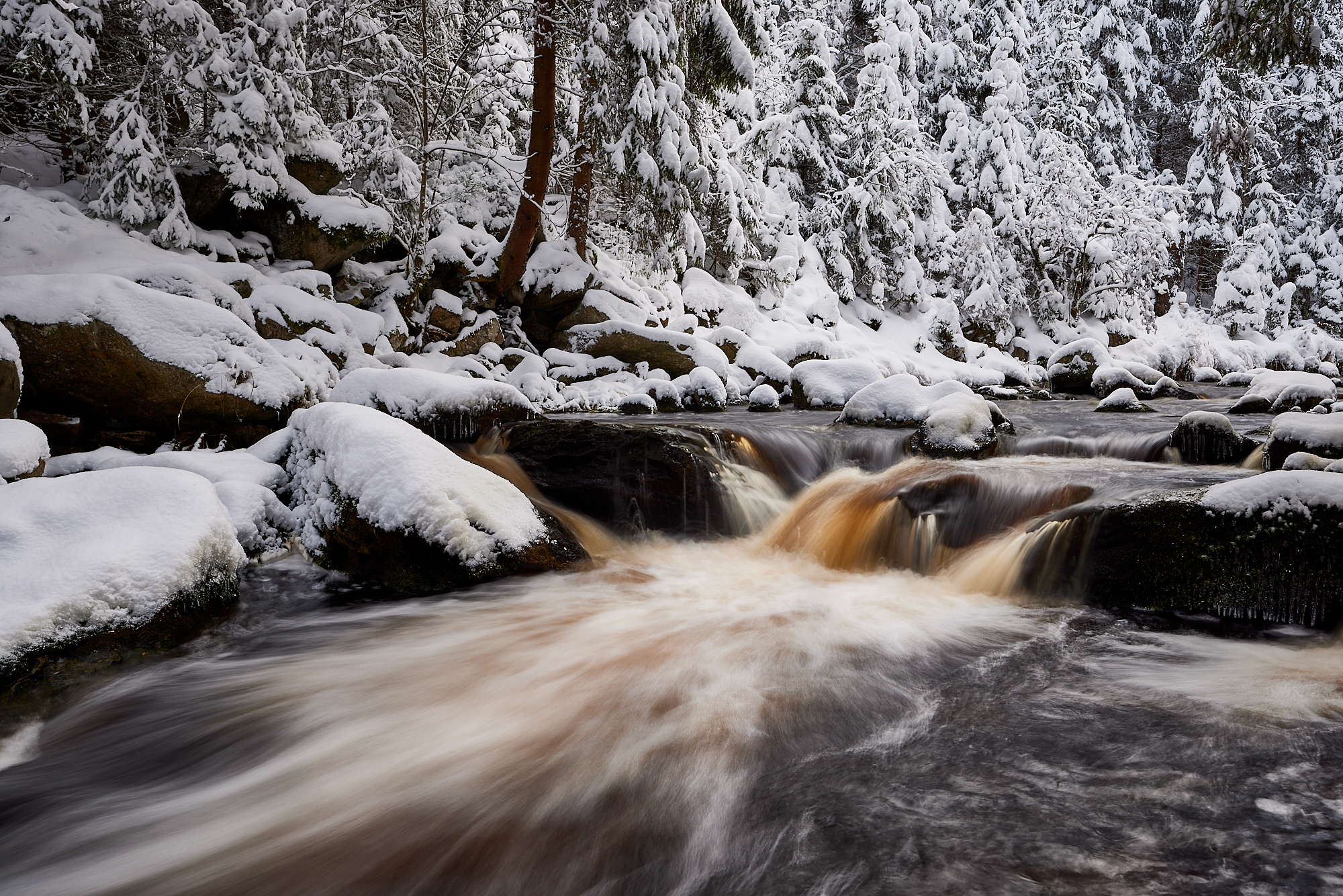 Wintertraum