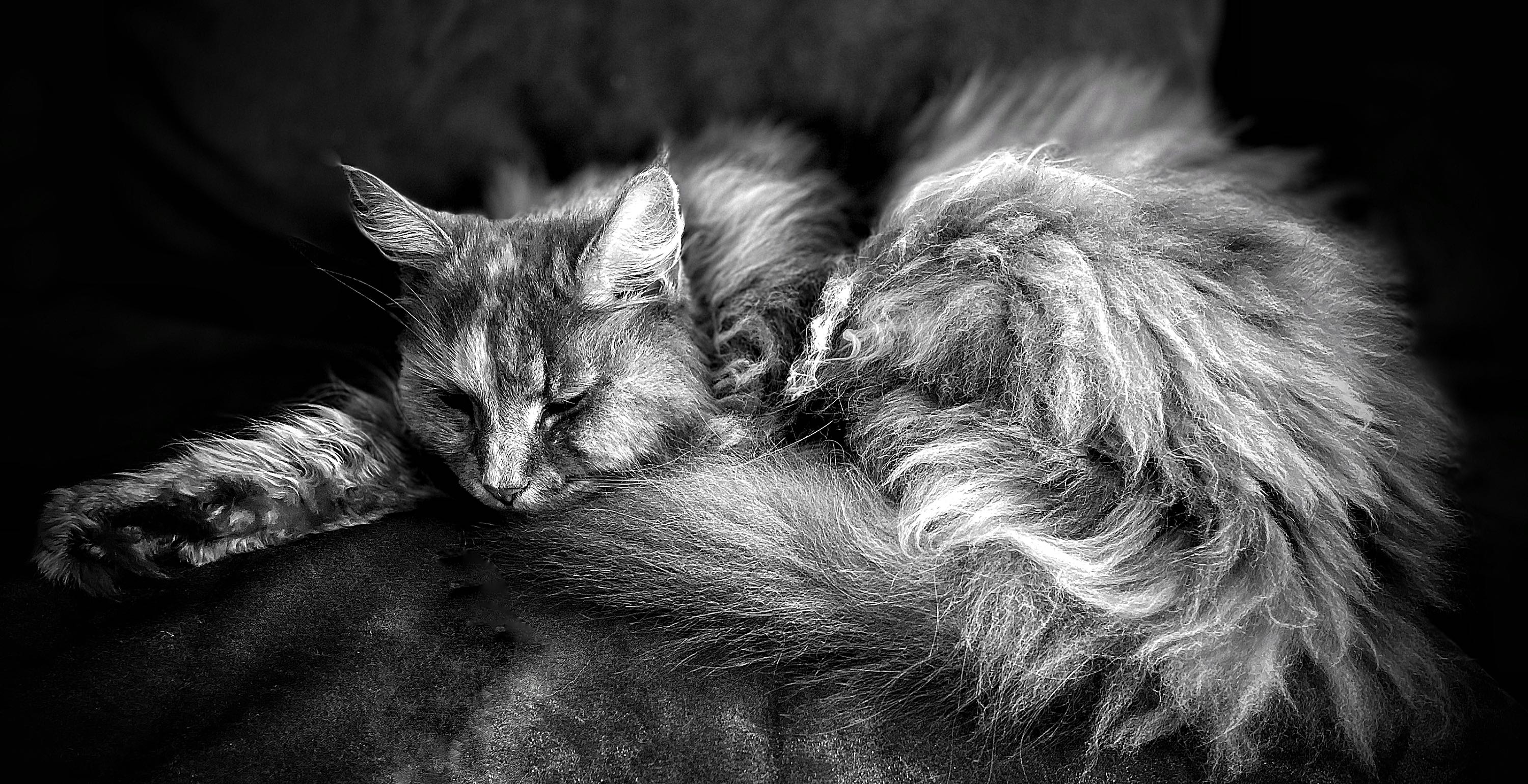 Peaches