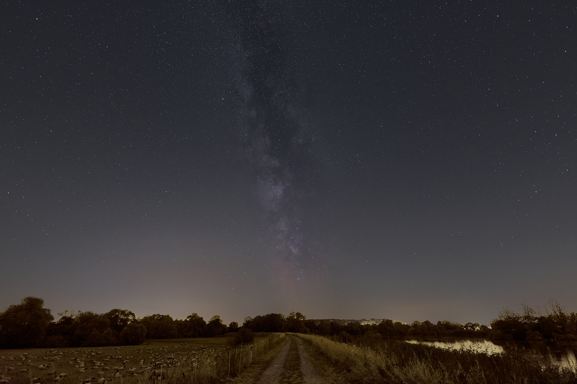 Milky Way