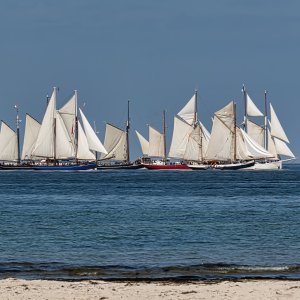 Hans Sail