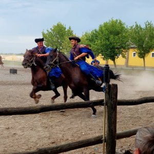 Reiterspiele in der Pusta 