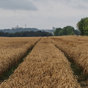 Der Weg ist das Ziel